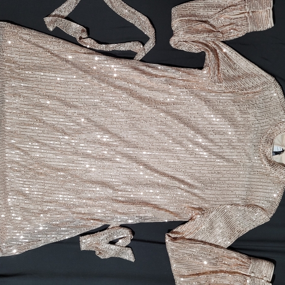 Champagne color evening dress size 4 fits to 10 - Picture 5 of 7